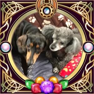 Meet your Posher, Cheryl